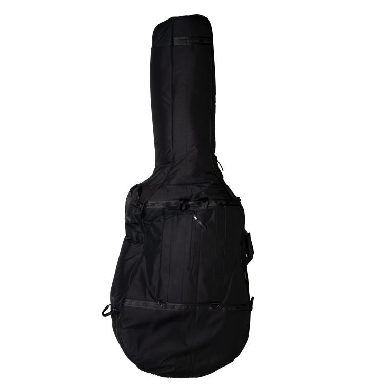 Ritter-Bern-Double-Bass-4-4-sea-ground-black-Zubeh_0004.jpg